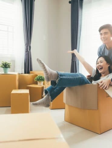 carton demenagement
