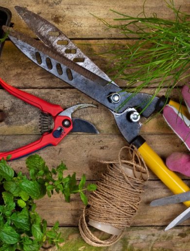 outils de jardin
