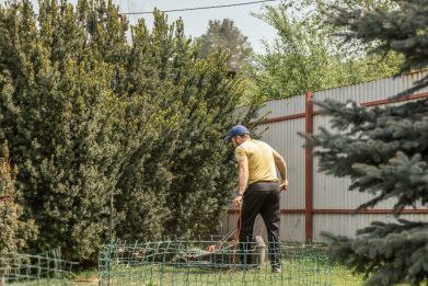 débroussailler son jardin