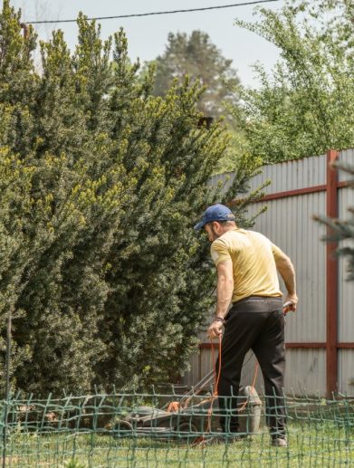 débroussailler son jardin