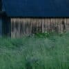 abri de jardin