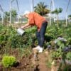 jardinage écologique