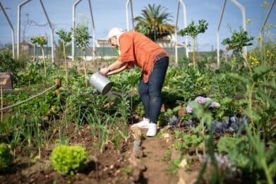 jardinage écologique
