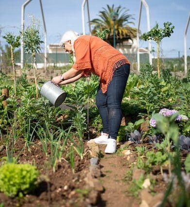 jardinage écologique