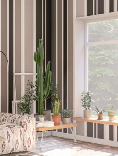 menuiserie pvc