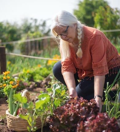 potager urbain