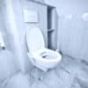 toilettes suspendues
