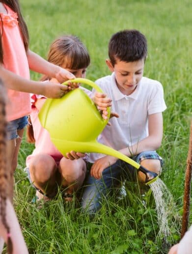 jardin éducatif pour enfants