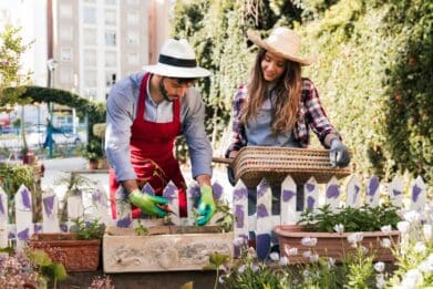 jardinage petit espace