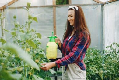 Insecticides Naturels