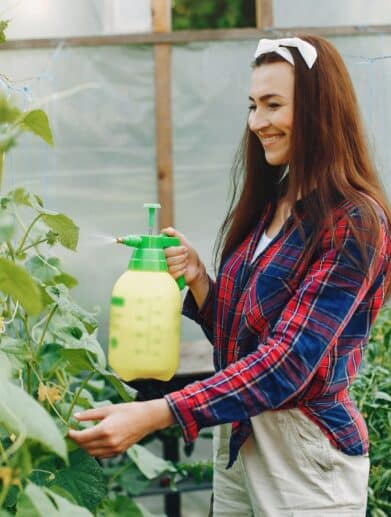 Insecticides Naturels