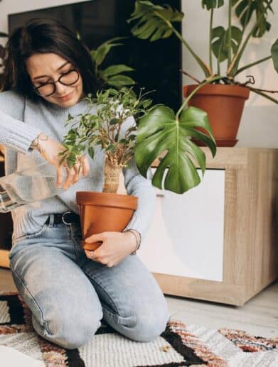 Plantes Vertes pour purifier l'air intérieur