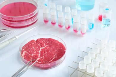 Viande cultivée en laboratoire