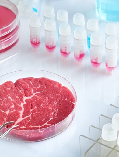 Viande cultivée en laboratoire