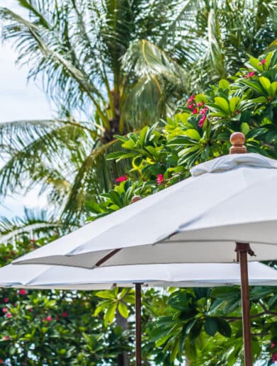parasol jardin solide