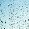 Pourquoi et comment récupérer ses eaux de pluie chez soi ?